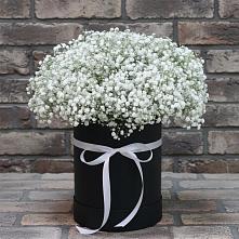 Цветочная композиция из Гипсофила в шляпной коробке в Воздвиженское